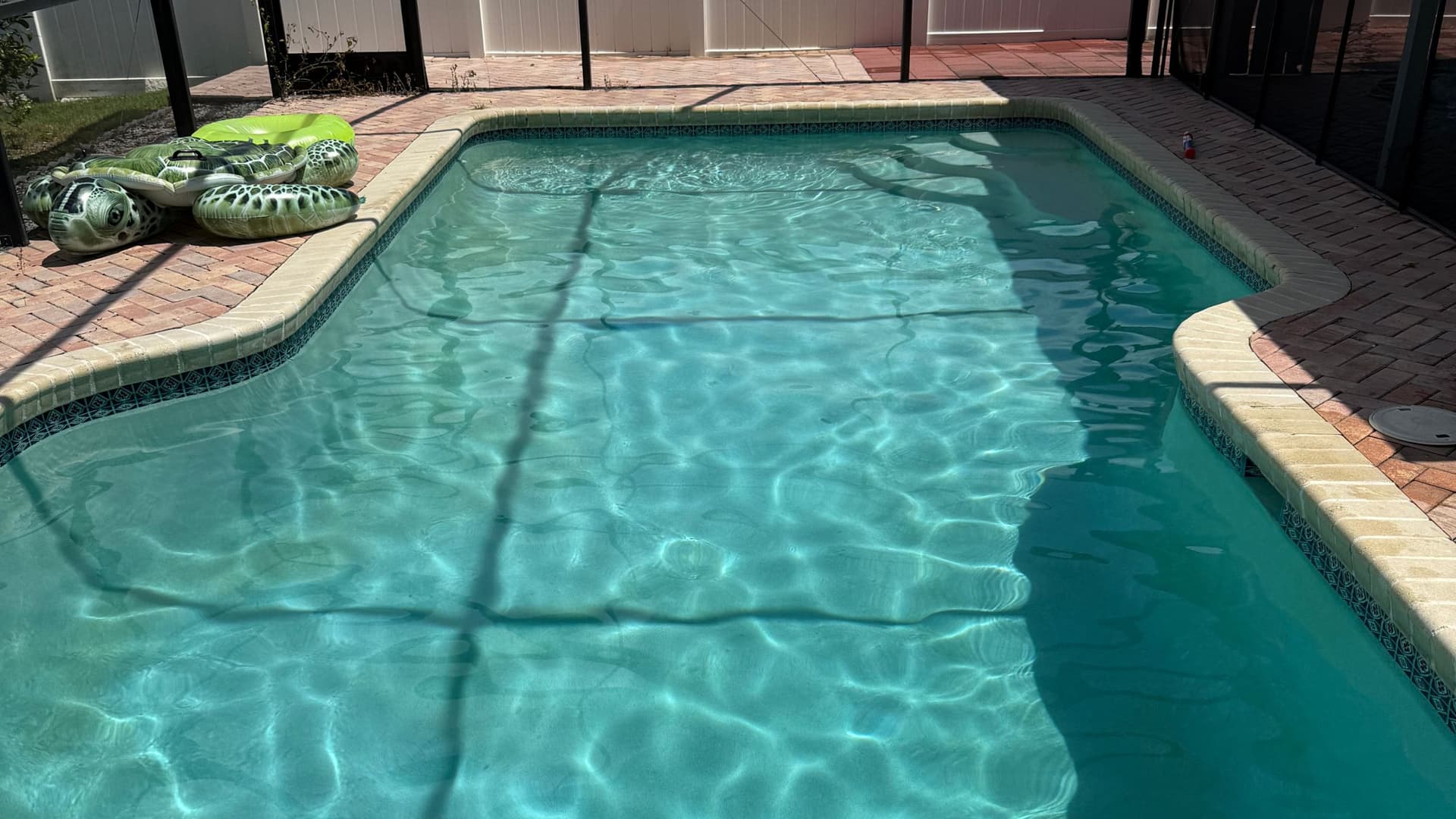 Freeform pool with pristine turquoise water and decorative tile trim