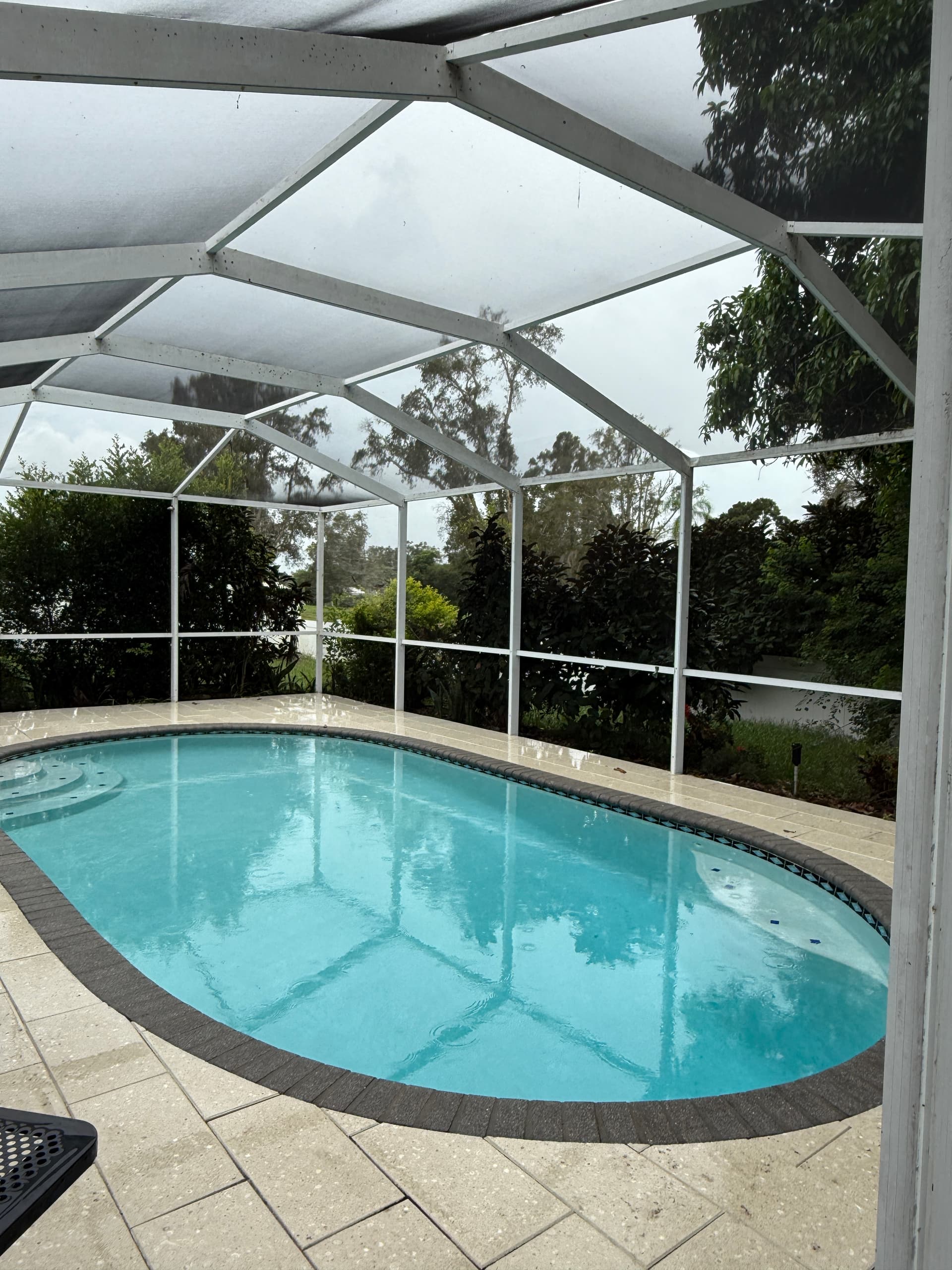 Beautiful kidney-shaped pool with crystal clear water under screen enclosure