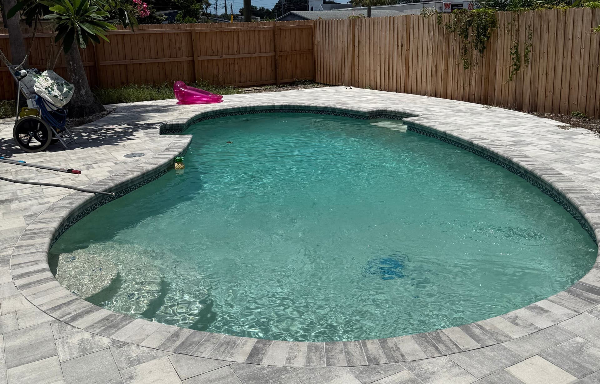 Kidney-shaped pool with elegant paver deck and crystal clear water after deep clean service - Florida